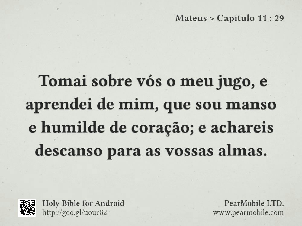 Mateus, Capítulo 11:29